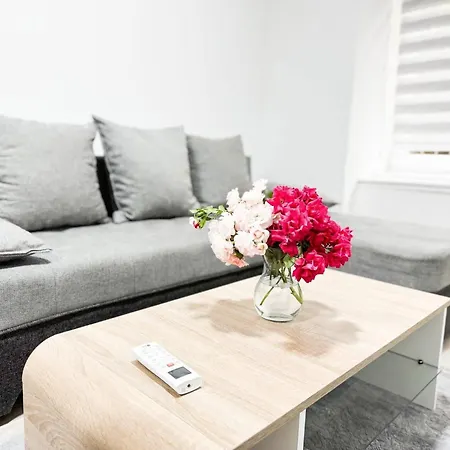 Centar Apartman *